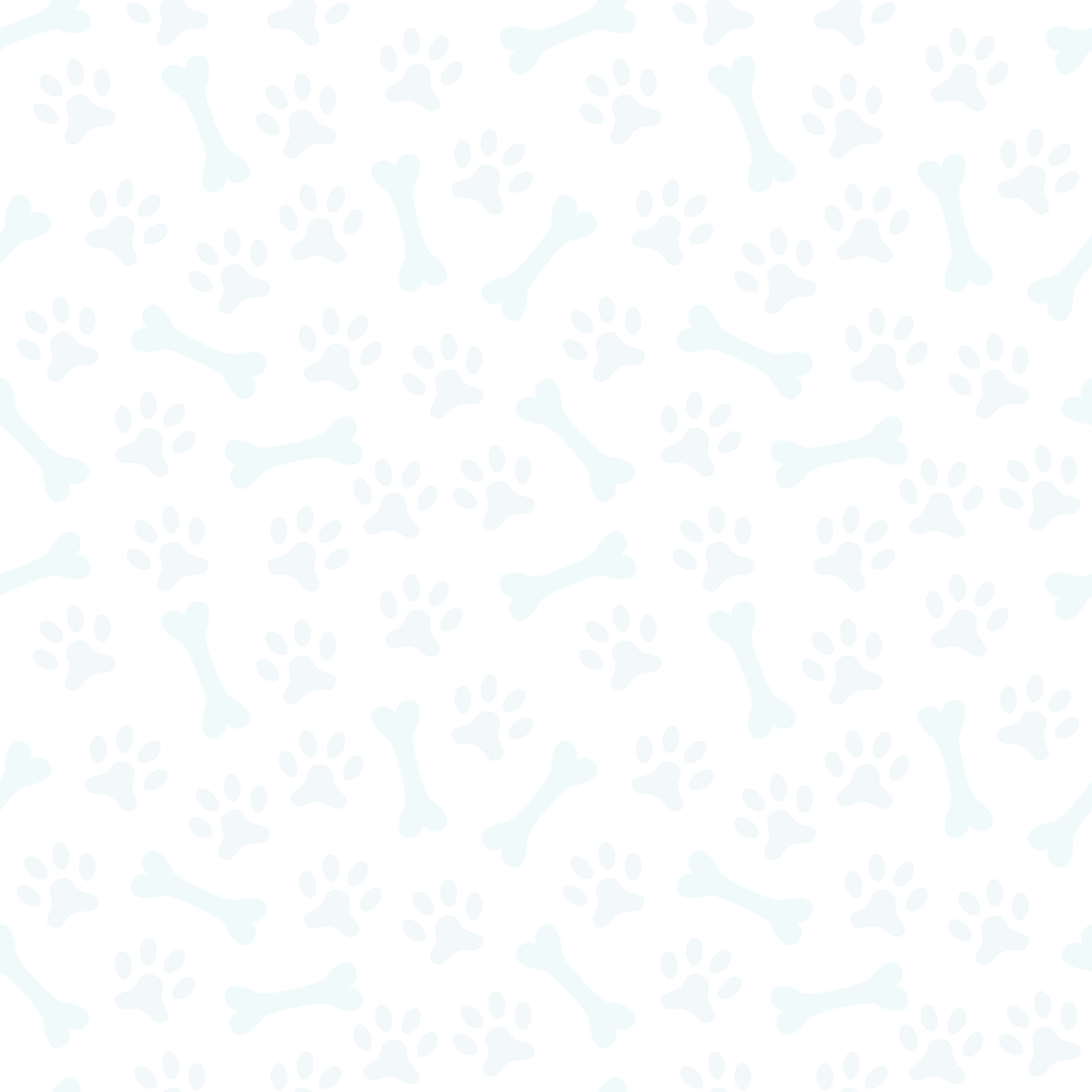 HomepageBackgrounddogbones Dog Daycare Dog Boarding Grooming