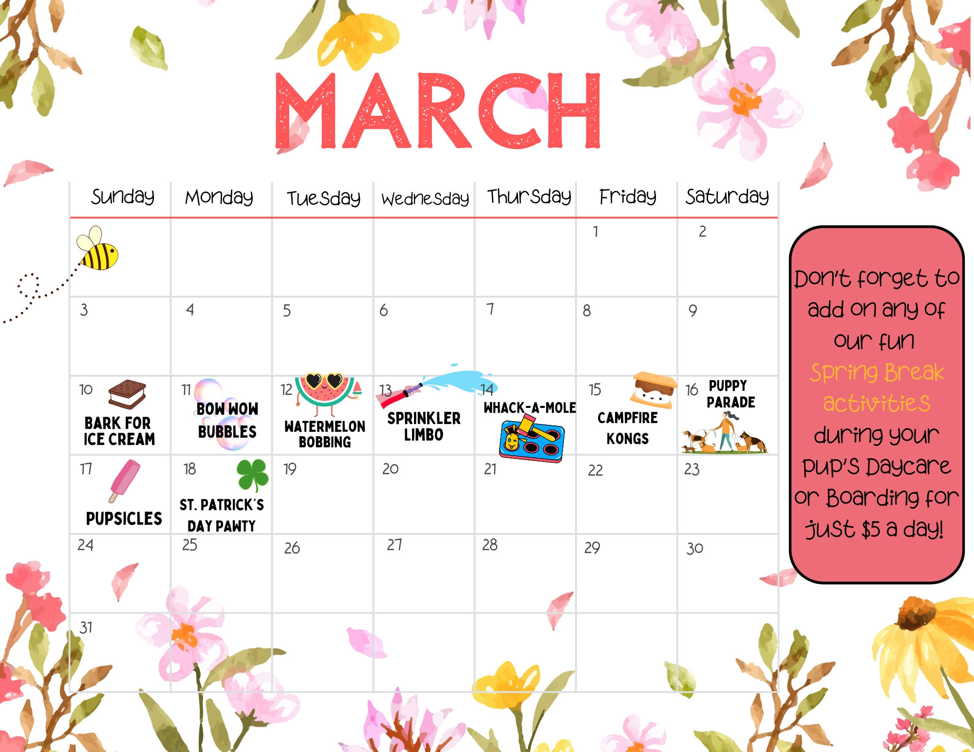 Dog Daycare Dog Boarding Grooming in Prosper, Frisco TX